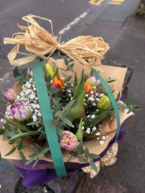 Beautiful Tulips
