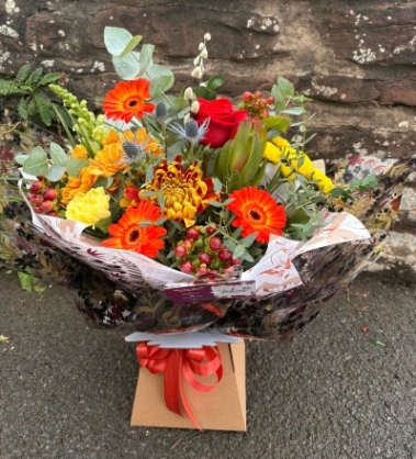 The woodland Aqua Box